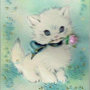 Meet your Posher, Raini